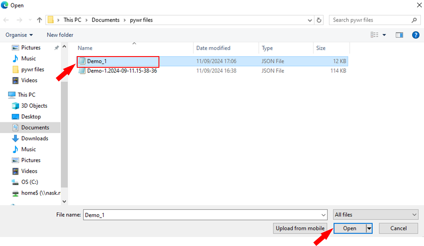 Choose the Pywr JSON file